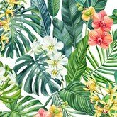 Орхидеи в тропиках