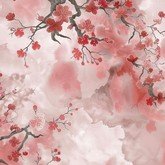 Цветение сакуры