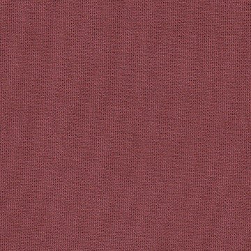 Канвас ягодный