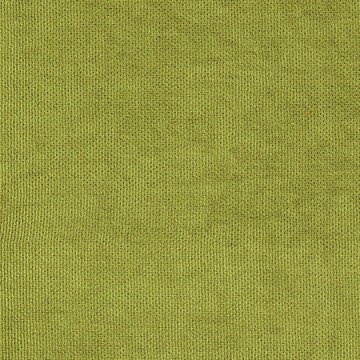 Канвас зелёное яблоко