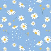 Ромашки на голубом