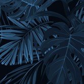 Ночные джунгли