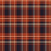 Сине-оранжевая клетка