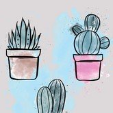 Кактусовая оранжерея