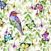 Тропические птицы