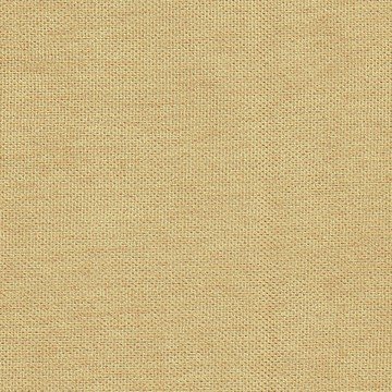 Канвас абрикосовый