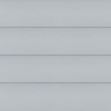 Павловния светло-серый