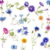 Полевые цветы