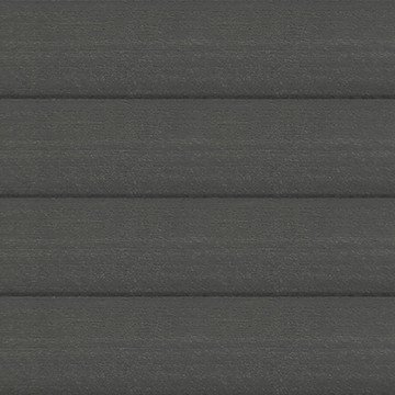 Павловния мокко дуб