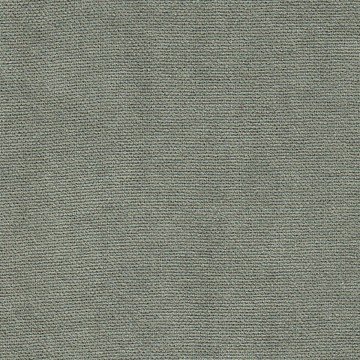 Канвас сизый