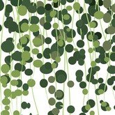 Зелёный занавес