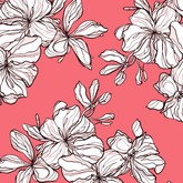 Белые цветы