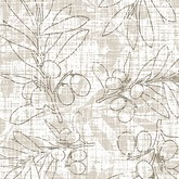 Ветви оливы