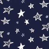 Ночные звёзды